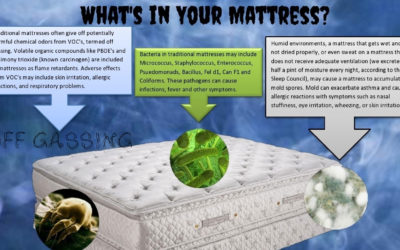 What’s In Your Mattress?