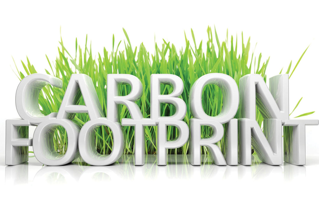 Carbon Footprint: Energy and Water