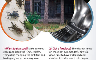 Keep Cool – Summer Cleaning Tips