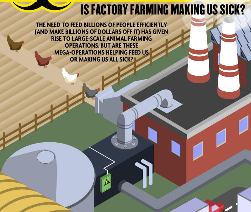 Food Poisoning: Is Factory Farming Making Us Sick?