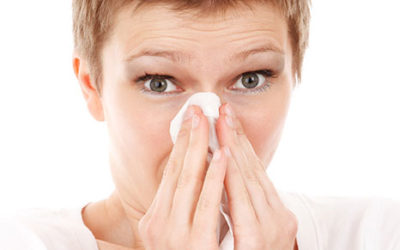 Allergies? Check Your Living Space