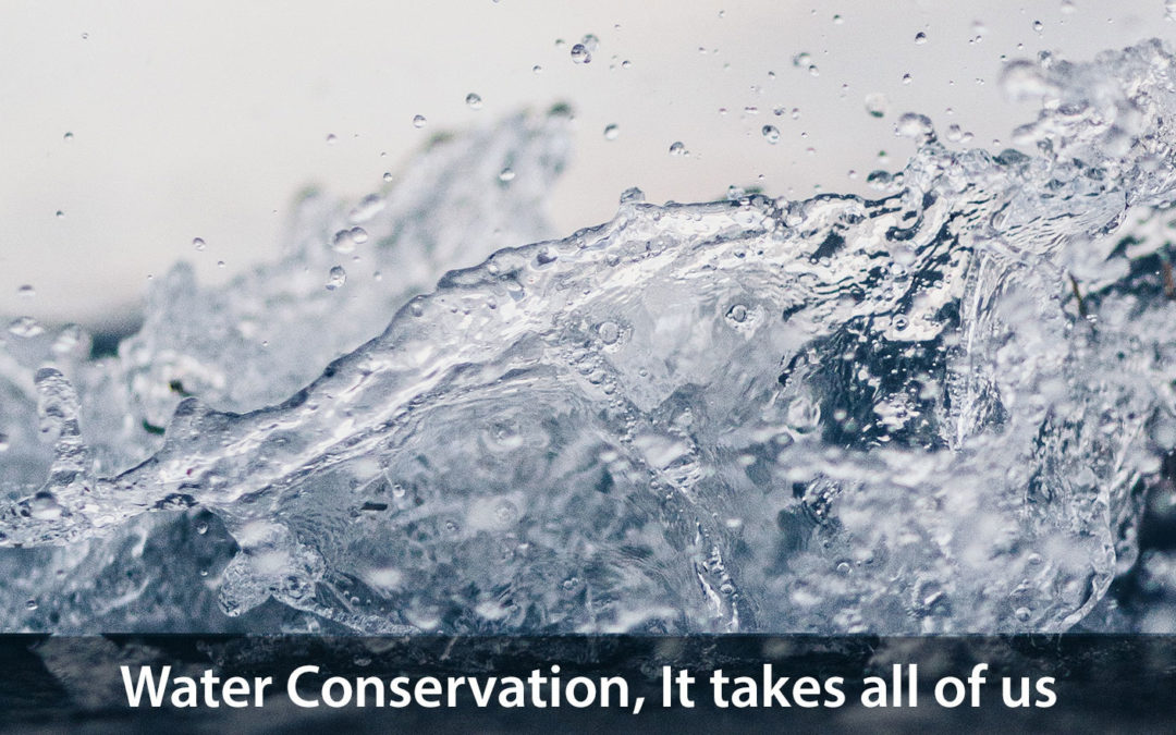 Water-Conservation Tips for Homeowners